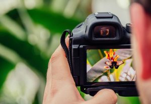 Lee más sobre el artículo Image Alignment Example